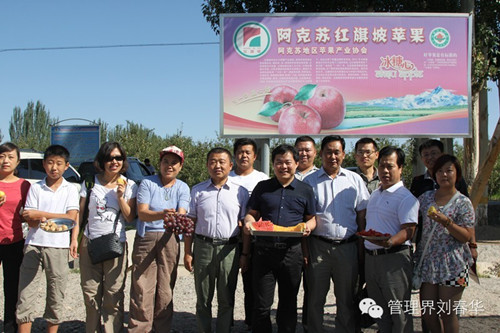 华商智业：为新疆圭柏种植合作社打造全国营销平台（上篇）