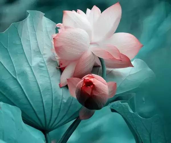 清华大学管理实战老师刘春华感悟：人贵三品